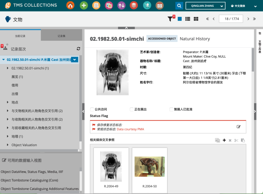 Natural History Object Record in Simplified Chinese | Multilingual Functionality in TMS Collections