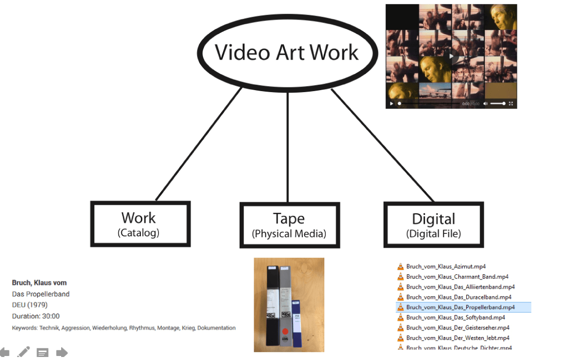 Concept Diagram of imai Database