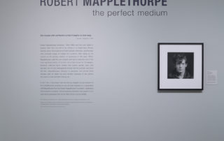 Robert Mapplethorpe: The Perfect Medium