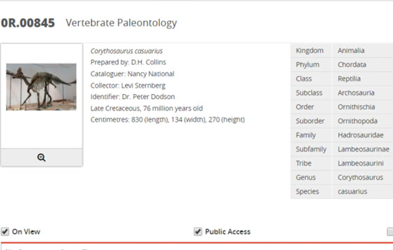 Taxonomy Data View | Natural History Collections | Gallery Systems