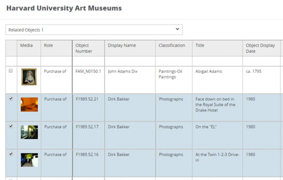 Record Hierarchy | University Museum Collections | Gallery Systems